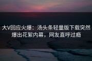 大V回应火爆：汤头条轻量版下载突然爆出花絮内幕，网友直呼过瘾