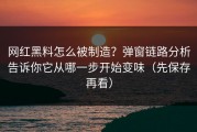 网红黑料怎么被制造？弹窗链路分析告诉你它从哪一步开始变味（先保存再看）