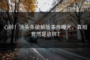 心碎！汤头条破解版事件曝光，真相竟然是这样？
