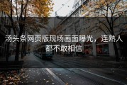 汤头条网页版现场画面曝光，连熟人都不敢相信