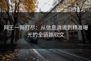 网王一网打尽：从信息洪流到精准曝光的全链路软文