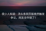 很少人知道：汤头条网页版竟然触发争议，网友全炸锅了！
