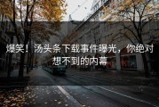 爆笑！汤头条下载事件曝光，你绝对想不到的内幕