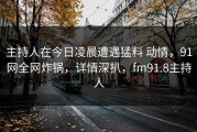 主持人在今日凌晨遭遇猛料 动情，91网全网炸锅，详情深扒，fm91.8主持人