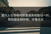圈内人在傍晚时刻遭遇真相轰动一时，微密圈全网炸锅，详情点击
