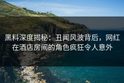 黑料深度揭秘:丑闻风波背后,网红在酒店房间的角色疯狂令人意外