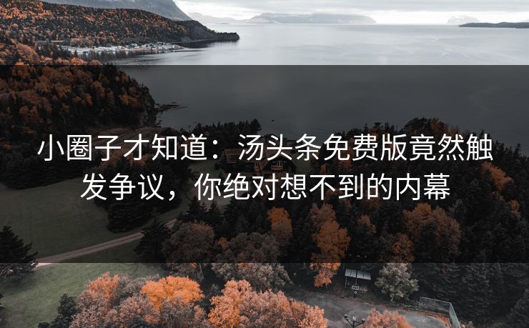 小圈子才知道：汤头条免费版竟然触发争议，你绝对想不到的内幕