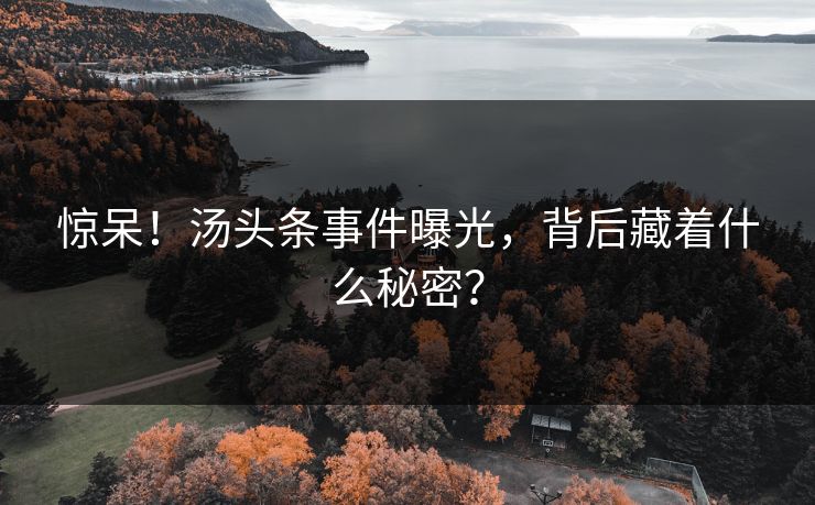 惊呆！汤头条事件曝光，背后藏着什么秘密？