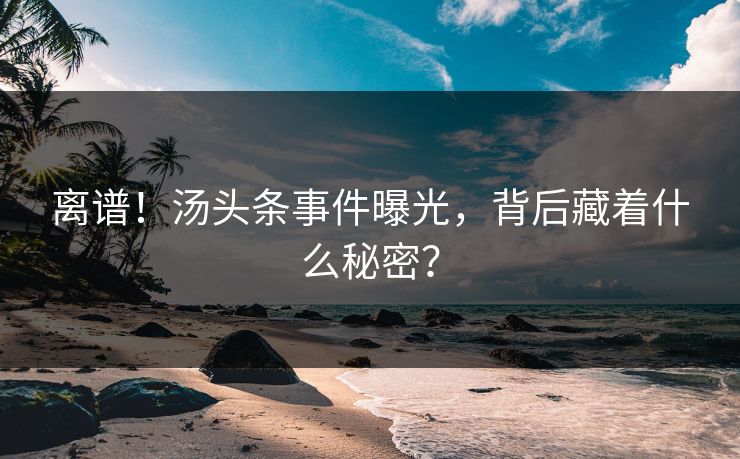 离谱！汤头条事件曝光，背后藏着什么秘密？