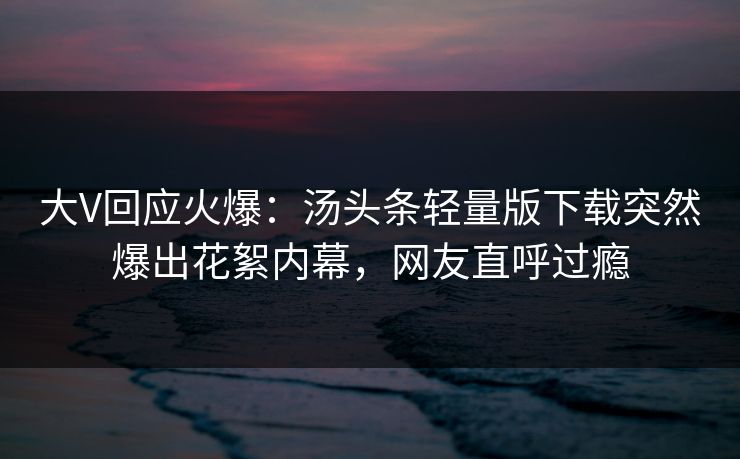 大V回应火爆：汤头条轻量版下载突然爆出花絮内幕，网友直呼过瘾