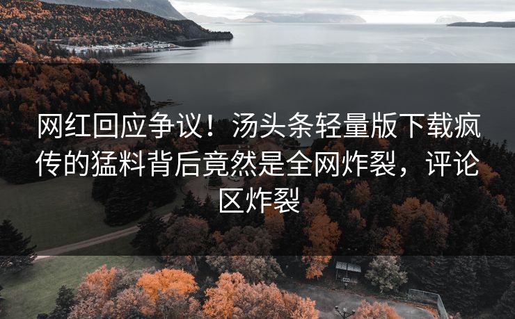 网红回应争议！汤头条轻量版下载疯传的猛料背后竟然是全网炸裂，评论区炸裂