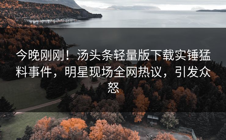 今晚刚刚！汤头条轻量版下载实锤猛料事件，明星现场全网热议，引发众怒