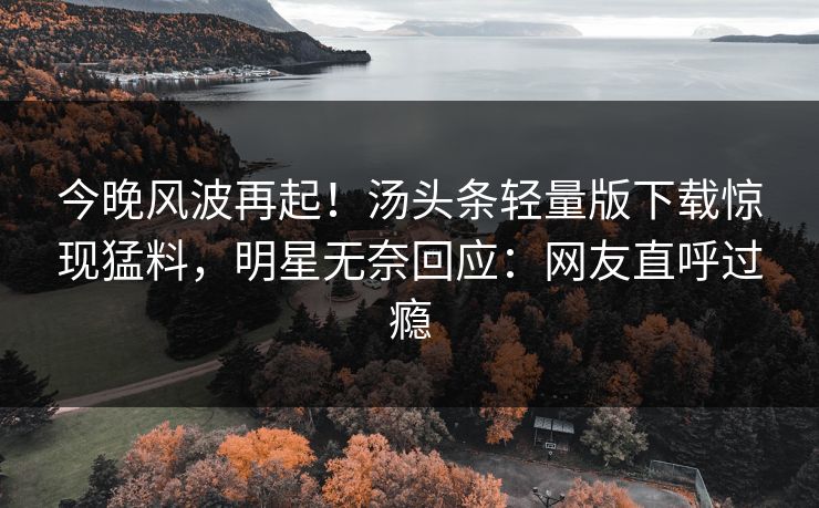 今晚风波再起！汤头条轻量版下载惊现猛料，明星无奈回应：网友直呼过瘾
