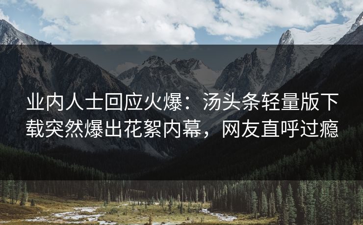 业内人士回应火爆：汤头条轻量版下载突然爆出花絮内幕，网友直呼过瘾