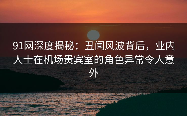 91网深度揭秘：丑闻风波背后，业内人士在机场贵宾室的角色异常令人意外