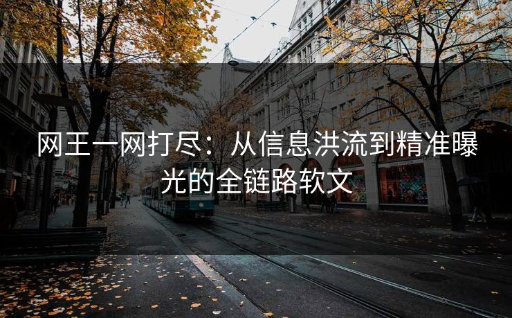 网王一网打尽：从信息洪流到精准曝光的全链路软文