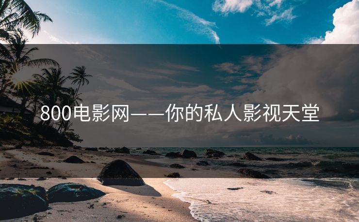 800电影网——你的私人影视天堂
